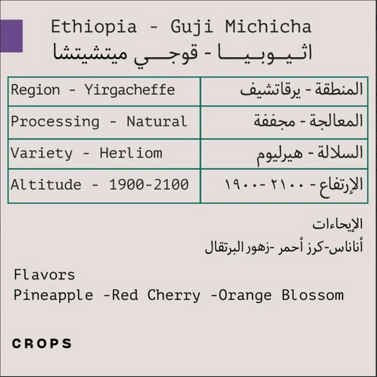 اثيوبا قوجي - كروبس | GUJI CROPS